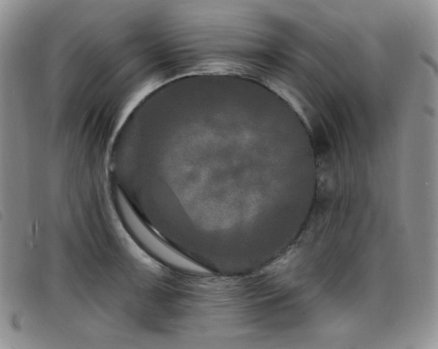 X0000098201091200804241247