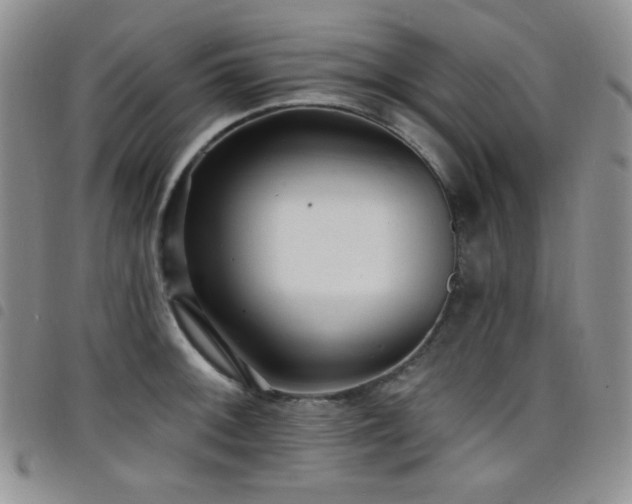 X0000098201092200804241247