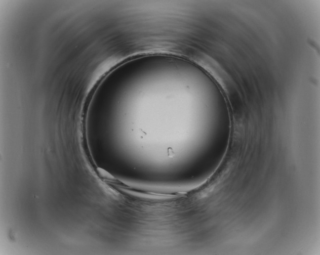 X0000098201093200804241247