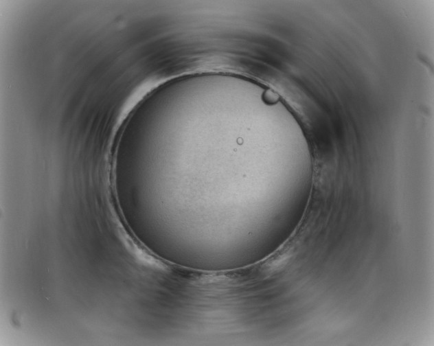 X0000098201094200804241247