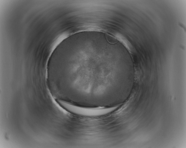 X0000098201095200804241247