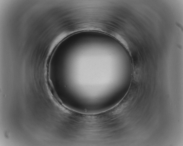X0000098201096200804241247