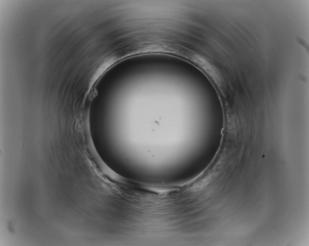 X0000098201097200804241247