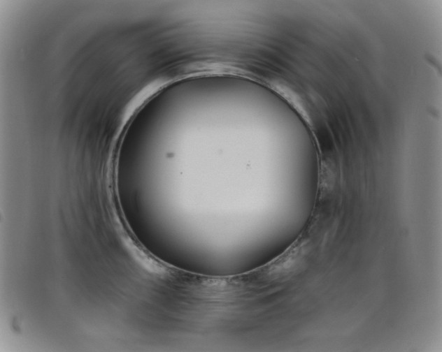 X0000098201098200804241247