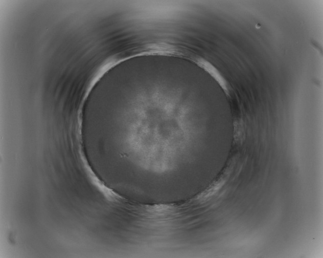 X0000098201099200804241247