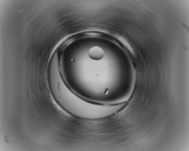 X0000098201100200804241247