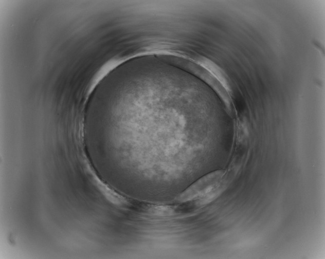 X0000098201101200804241247