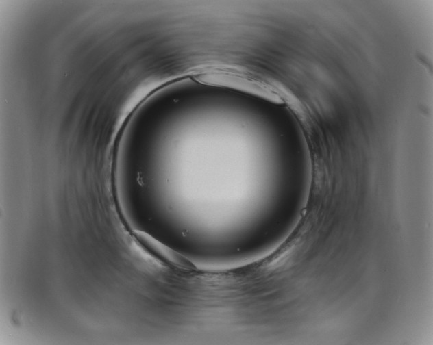 X0000098201102200804241247