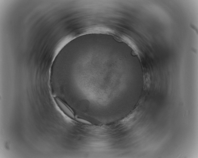 X0000098201103200804241247