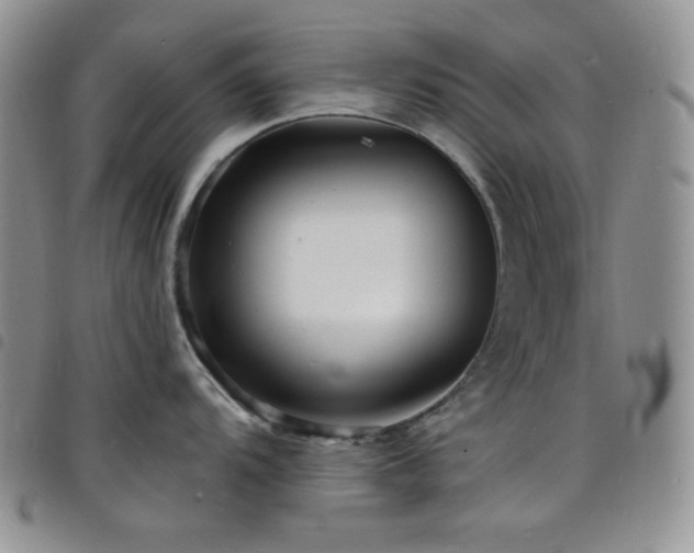 X0000098201104200804241247