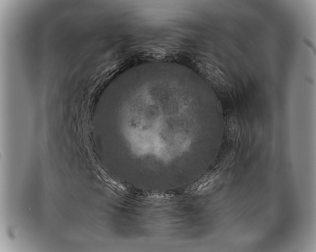 X0000098201105200804241246