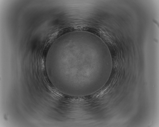 X0000098201106200804241246