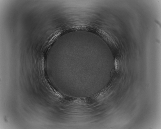 X0000098201107200804241246