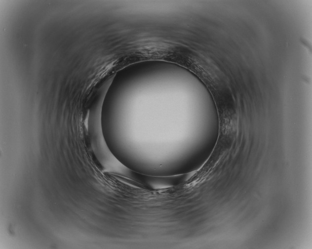 X0000098201108200804241246
