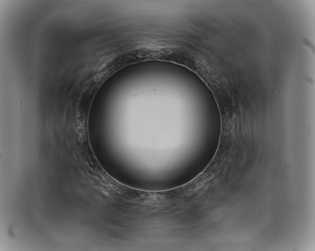 X0000098201109200804241246