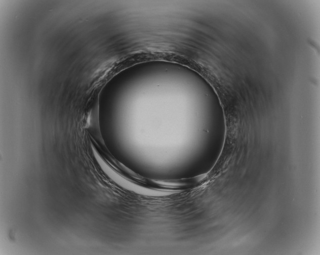 X0000098201110200804241246
