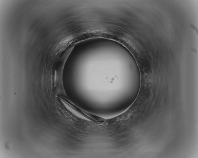X0000098201111200804241246