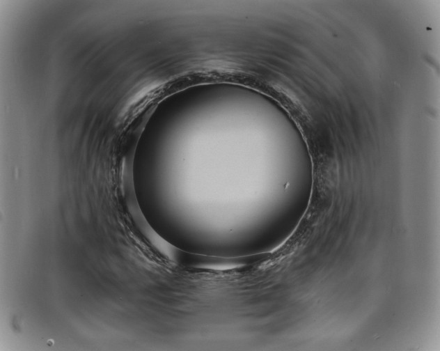X0000098201112200804241246