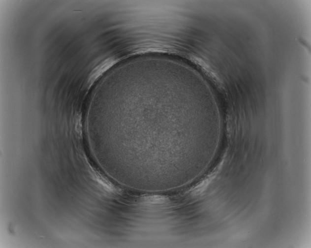 X0000098201113200804241246