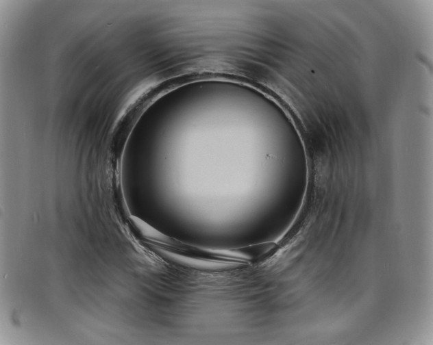 X0000098201115200804241246