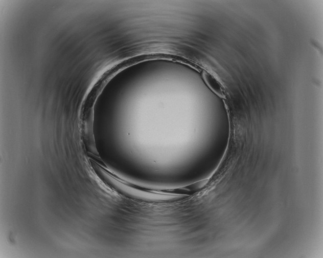 X0000098201116200804241246