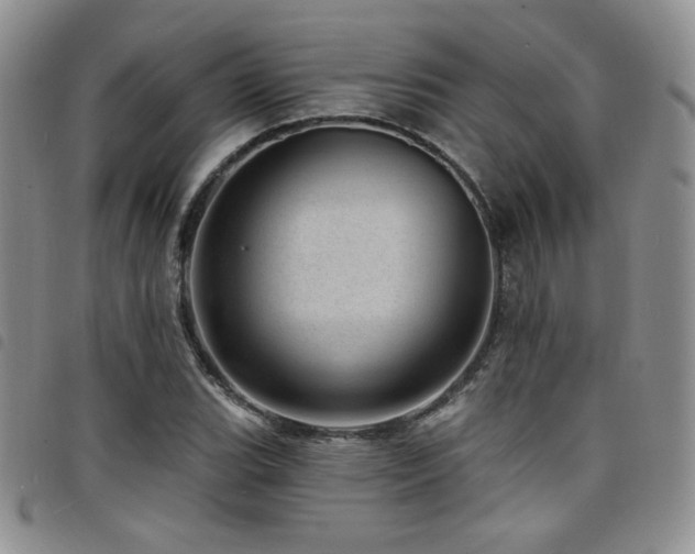 X0000098201119200804241246