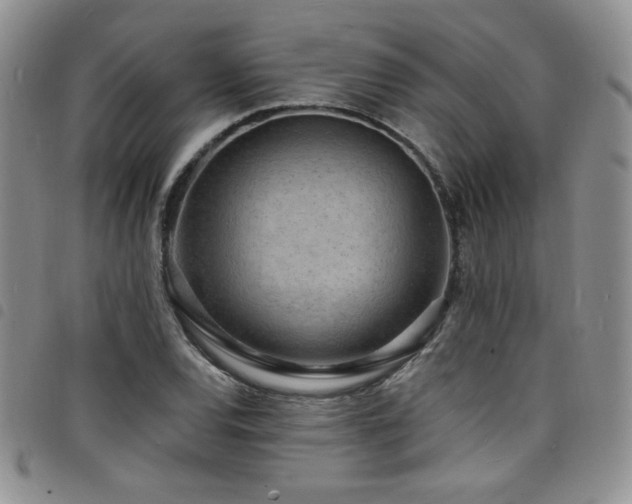 X0000098201120200804241246