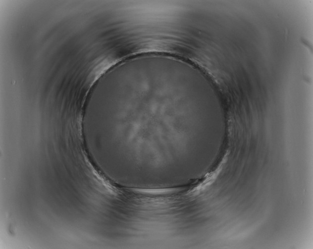 X0000098201121200804241246