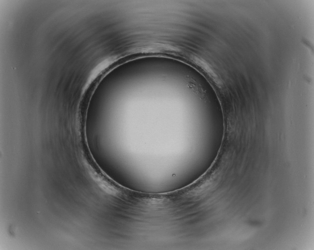 X0000098201122200804241246