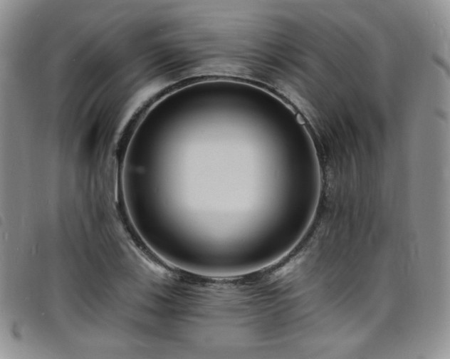 X0000098201123200804241246