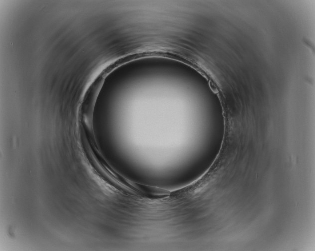 X0000098201124200804241246