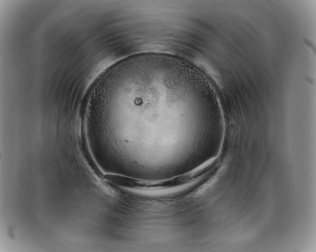 X0000098201125200804241246