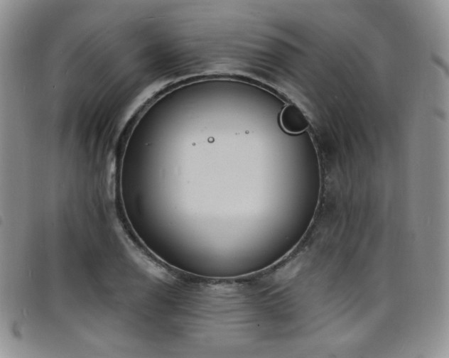 X0000098201126200804241246