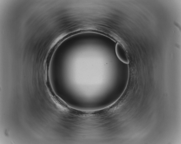 X0000098201127200804241246