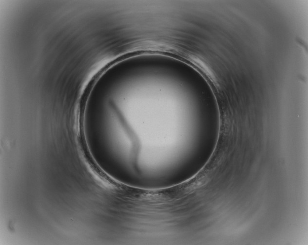 X0000098201128200804241246