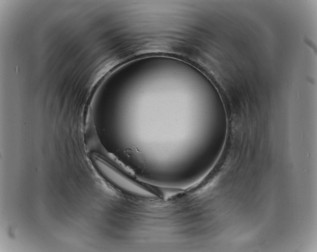 X0000098201129200804241246