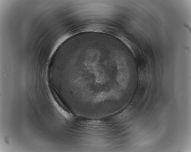X0000098201131200804241246