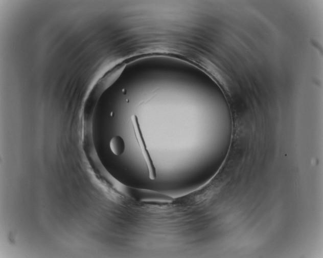 X0000098201132200804241246