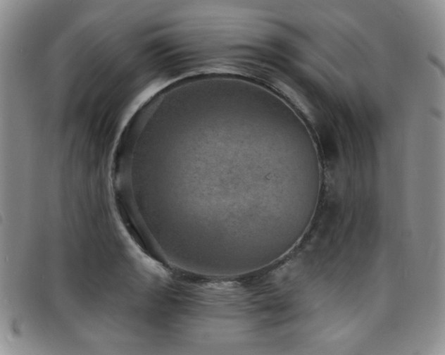 X0000098201133200804241246