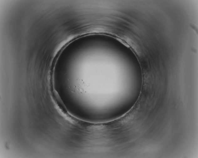 X0000098201134200804241246