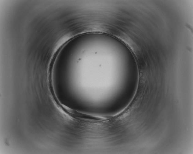 X0000098201135200804241246