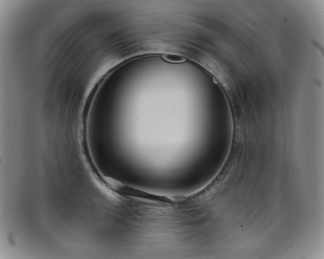 X0000098201136200804241246