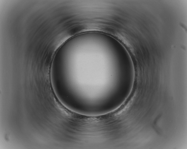 X0000098201137200804241246