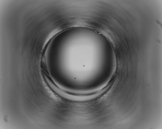 X0000098201138200804241246