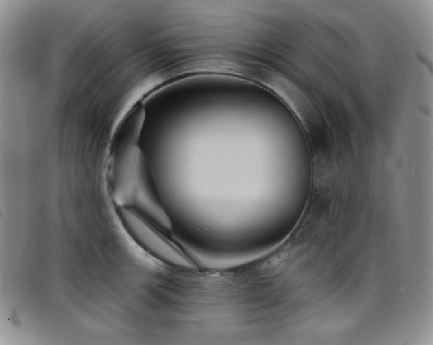 X0000098201139200804241246