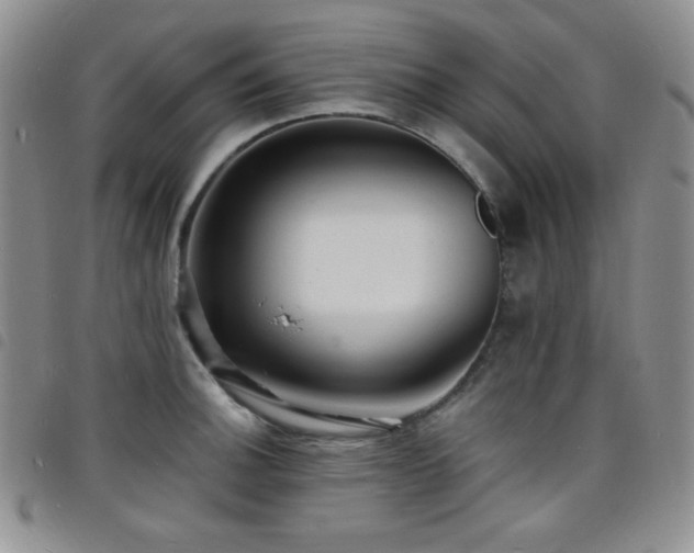 X0000098201140200804241246