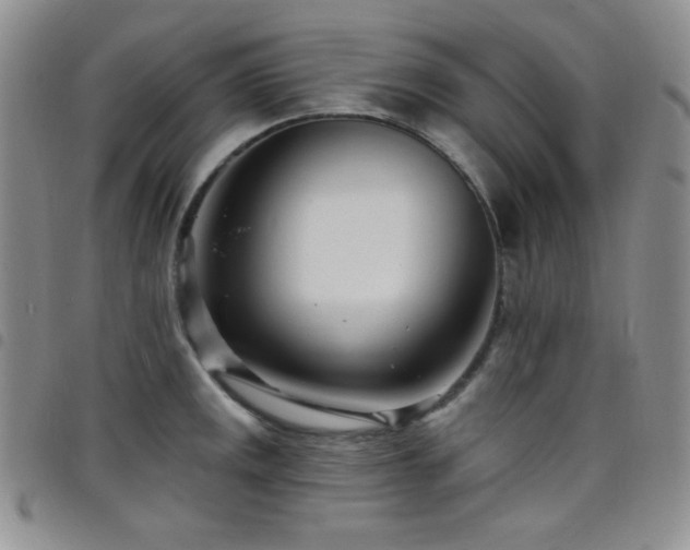 X0000098201141200804241246