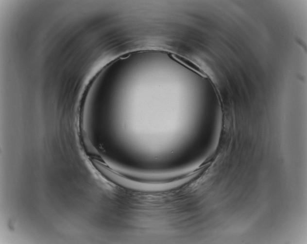 X0000098201144200804241246