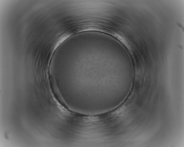 X0000098201145200804241246
