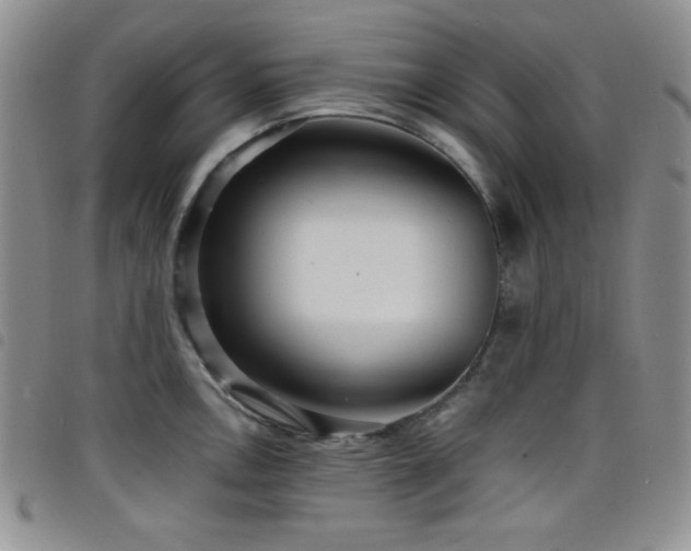 X0000098201146200804241246